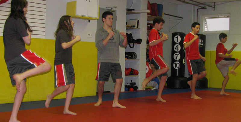 martial arts high school class001